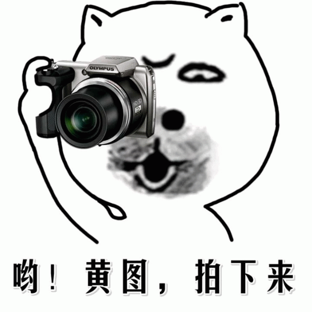 示例图片